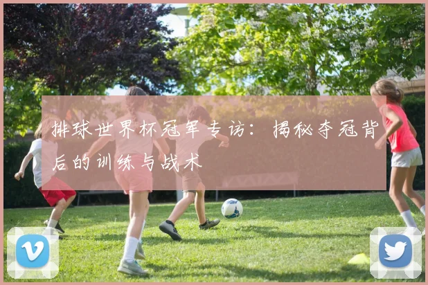 排球世界杯冠军专访：揭秘夺冠背后的训练与战术