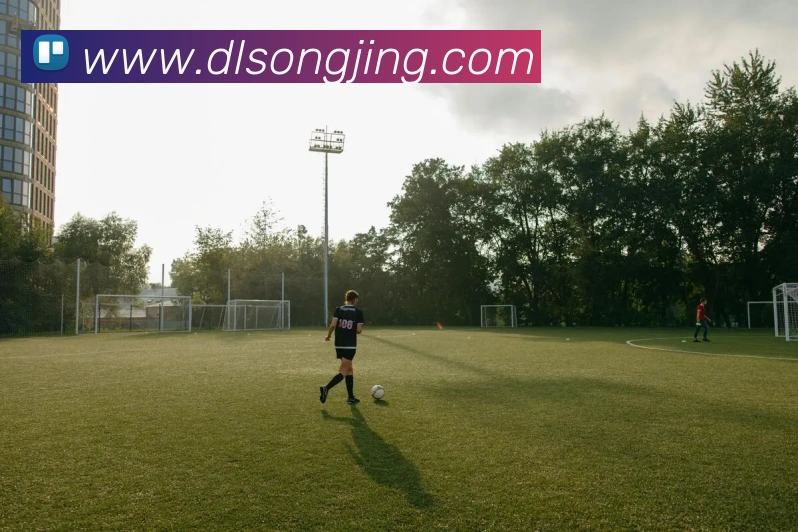 乐竞体育官方官网发展历程