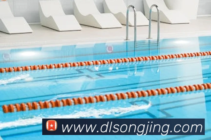 英冠赛果实时更新：一键获取完整积分榜与球队排名动态